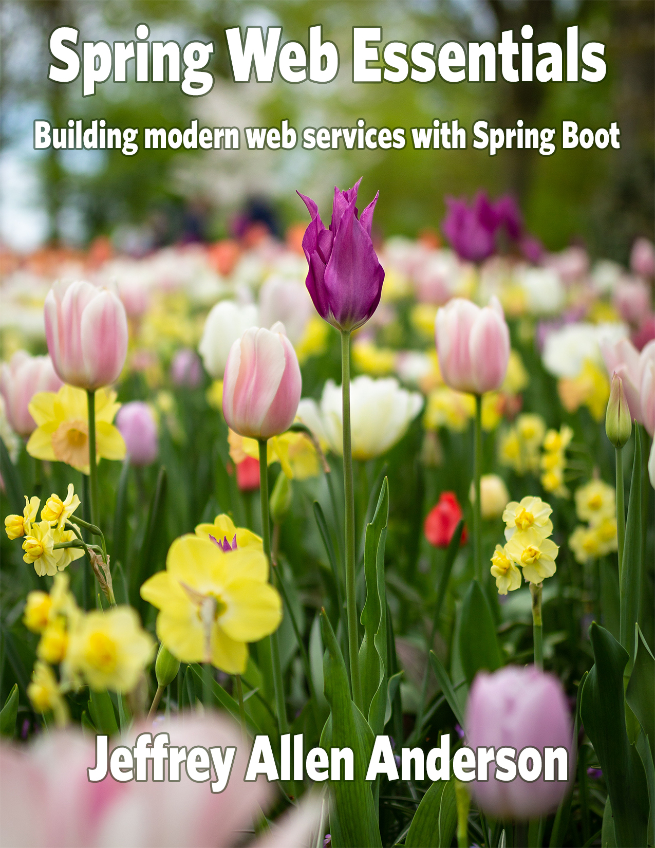 Spring Web Essentials book cover image